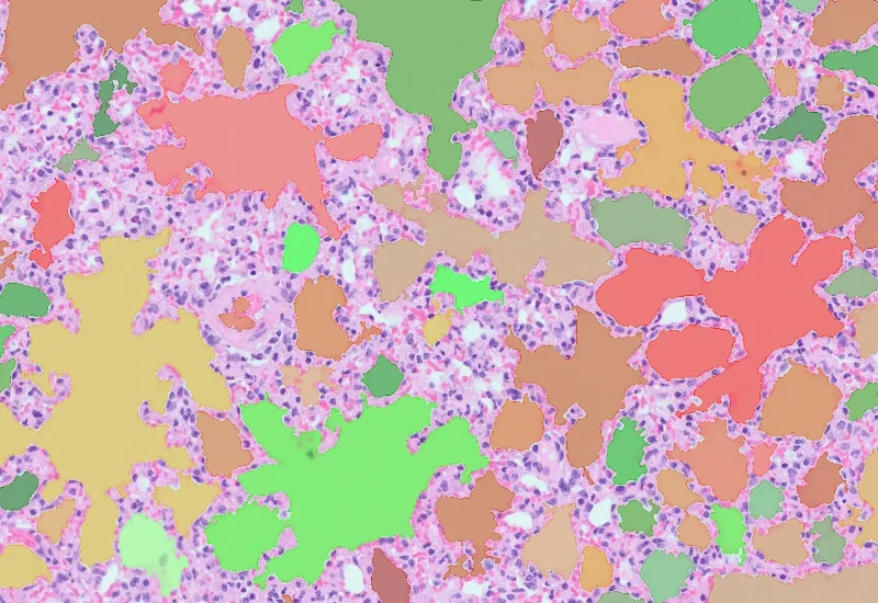 Dynamic Content Image